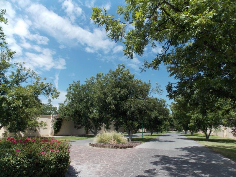Terreno en Venta en Las Villas, Torreón, Coahuila de Zaragoza