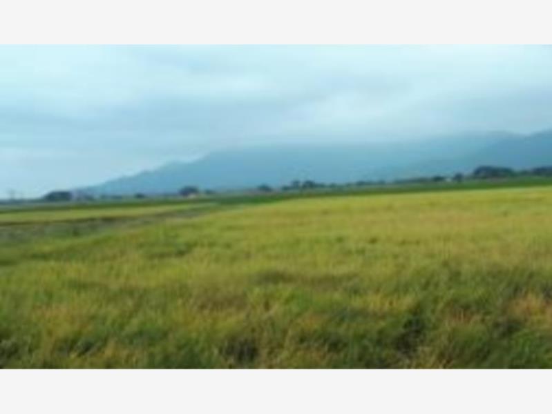 Terreno en venta en Cuauhtemoc, Cuauhtémoc