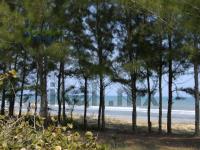 Terreno en venta en Majahual, Tamiahua — foto 2 de 10