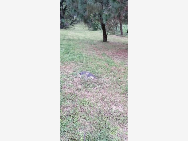 Finca-Rancho en venta en Las Higueras, Cuauhtémoc