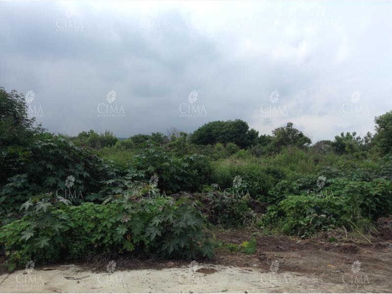 Terreno en venta en Ocotepec, Cuernavaca — foto 1 de 5