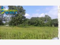 Terreno en venta en La Victoria Kilómetro 47, Papantla — foto 3 de 8