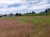 Terreno en venta en San Nicolas Tolentino, Toluca — foto 3 de 7