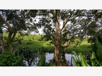 Finca-Rancho en venta en Teapa Centro, Teapa — foto 2 de 9