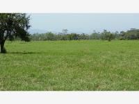 Finca-Rancho en venta en Jalpa de Mendez Centro, Jalpa de Méndez — foto 3 de 13