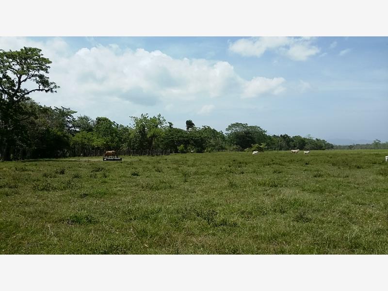 Finca-Rancho en venta en Jalpa de Mendez Centro, Jalpa de Méndez — foto 1 de 13