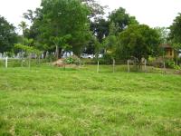 Finca-Rancho en venta en Macuspana Centro, Macuspana — foto 2 de 6