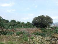Terreno en venta en Ocotepec, Cuernavaca — foto 2 de 5