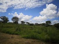 Terreno en venta en Izamal Centro, Izamal — foto 3 de 15