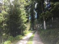Terreno en venta en Mineral del Monte Centro, Mineral del Monte — foto 3 de 10