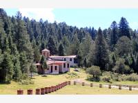 Terreno en venta en Mineral del Monte Centro, Mineral del Monte — foto 3 de 10
