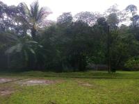 Finca-Rancho en venta en Puerto Escondido Centro, San Pedro Mixtepec -Dto. 22 - — foto 3 de 20