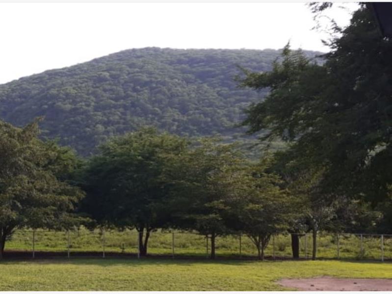 Finca-Rancho en venta en Cerro de Ortega, Tecomán