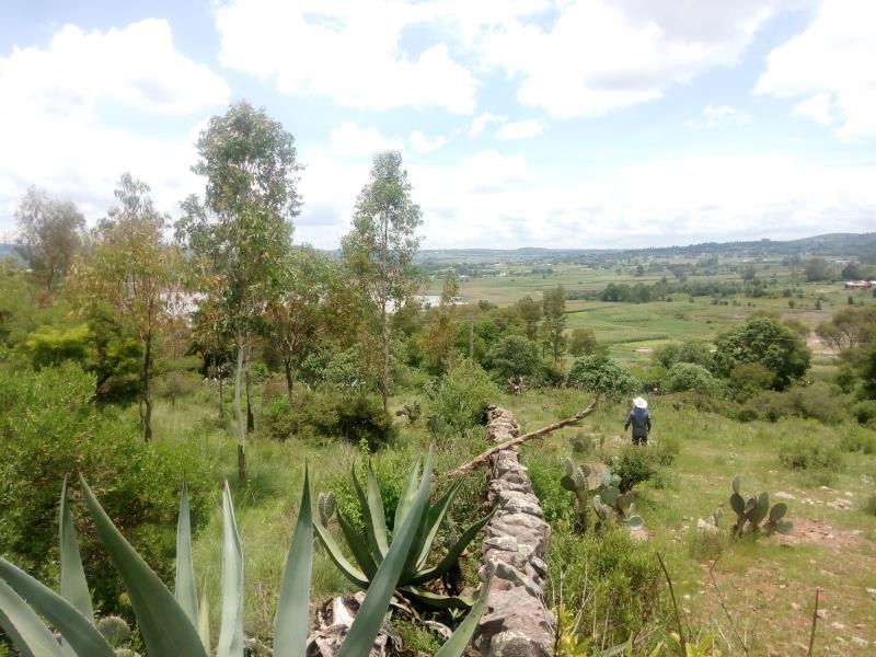 Terreno en venta en Jurica, Aculco — foto 1 de 4