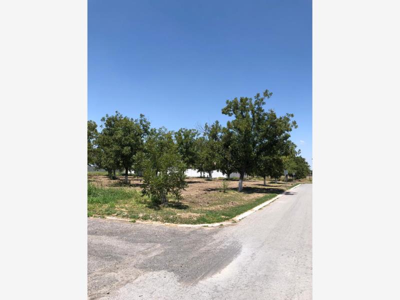 Terreno en venta en San Armando, Torreón — foto 1 de 6