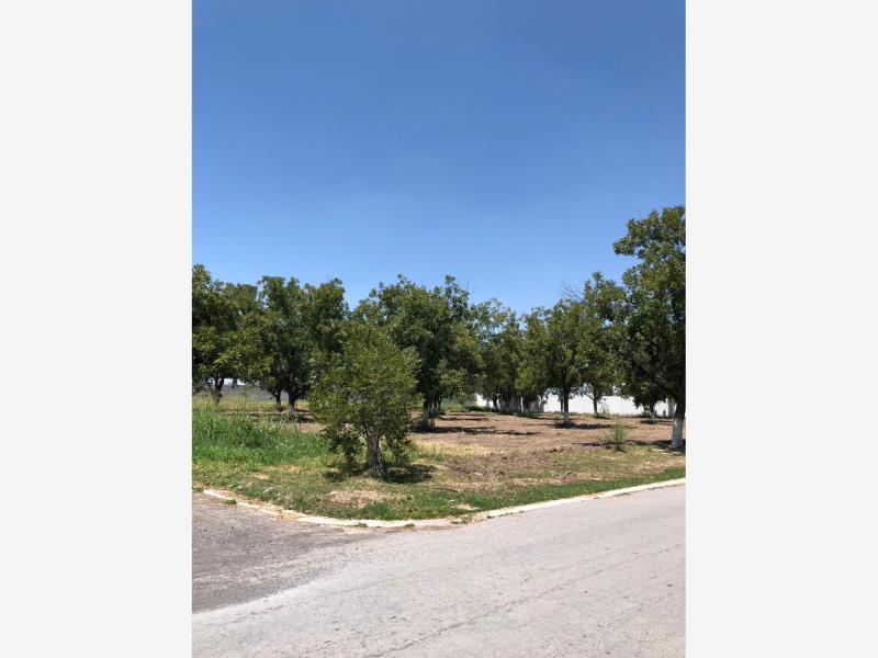 Vista 5 de Terreno en Venta en San Armando, Torreón, Coahuila de Zaragoza
