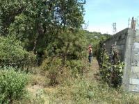 Terreno en venta en Ticumán, Tlaltizapán de Zapata — foto 2 de 4