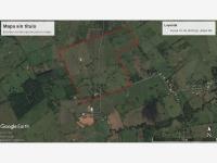 Finca-Rancho en venta en Santo Domingo 1ra. Sección (El Llano), Jalapa, Tabasco