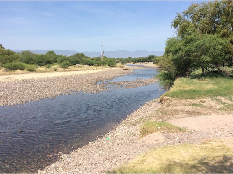 Terreno en Venta en León Guzmán, Lerdo, Durango