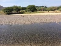 Terreno en venta en León Guzmán, Lerdo — foto 2 de 14