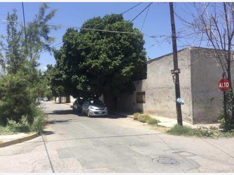 Terreno en venta en Lerdo Centro, Lerdo — foto 1 de 9
