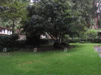 Casa en venta en San José de La Montaña, Huitzilac — foto 2 de 13
