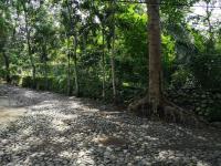 Terreno en venta en Centro, Comala — foto 3 de 6