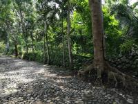 Terreno en venta en Centro, Comala — foto 2 de 6