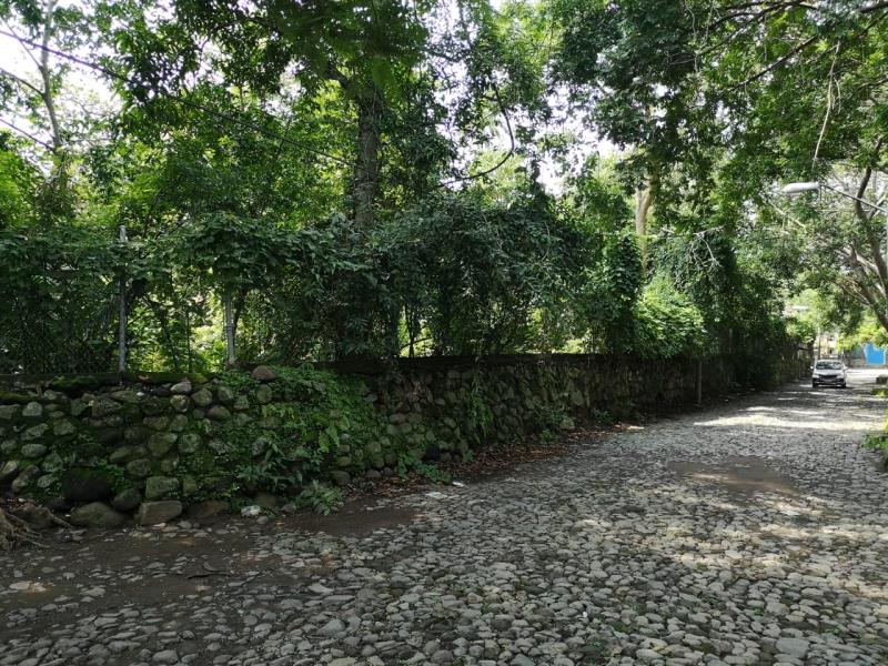 Terreno en venta en Centro, Comala — foto 1 de 6