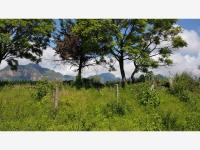 Terreno en venta en San Miguel, Tlayacapan — foto 2 de 3