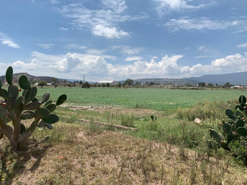 Terreno en venta en Acatlan Centro, Acatlán — foto 1 de 16