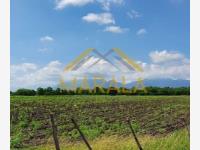 Finca-Rancho en venta en San Lorenzo, Cadereyta Jiménez — foto 3 de 18
