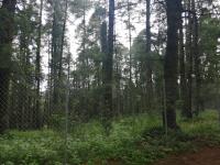 Terreno en venta en Mineral del Monte Centro, Mineral del Monte — foto 2 de 8