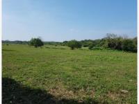 Terreno en venta en Anton Lizardo, Alvarado — foto 2 de 6