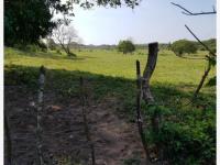 Terreno en venta en Anton Lizardo, Alvarado — foto 3 de 6