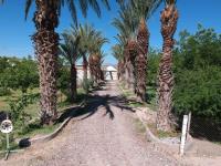 Finca-Rancho en venta en El Vergel, Gómez Palacio — foto 3 de 21