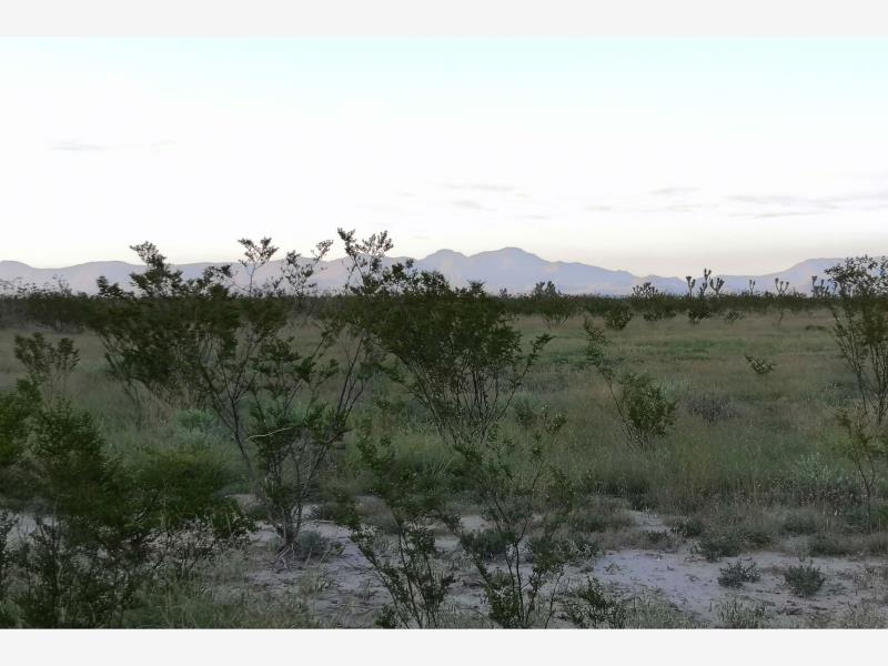 Terreno en venta en El Derramadero, Saltillo — foto 1 de 5