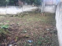 Terreno en venta en Alvaro Obregon, Xalapa — foto 3 de 14