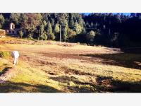 Terreno en venta en Mineral del Monte Centro, Mineral del Monte — foto 2 de 10