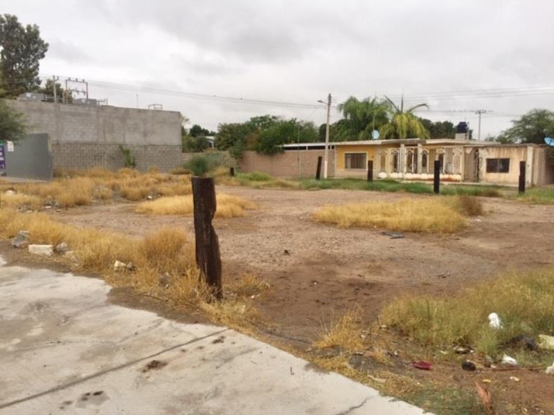 Terreno en Renta en Sol de Oriente, Torreón, Coahuila de Zaragoza