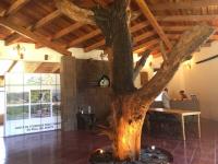 Terreno en venta en Mineral del Monte Centro, Mineral del Monte — foto 2 de 9