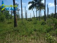 Terreno en venta en La Mata, Tuxpan — foto 3 de 12