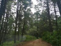 Terreno en venta en Mineral del Monte Centro, Mineral del Monte — foto 2 de 8