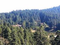 Terreno en venta en Mineral del Monte Centro, Mineral del Monte — foto 3 de 9