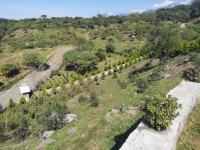 Finca-Rancho en venta en Lozano de la Montaña, Comala — foto 2 de 24