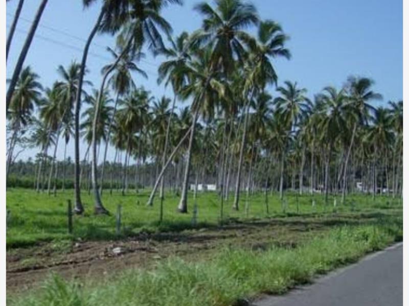 Terreno en venta en Tecoman Centro, Tecomán