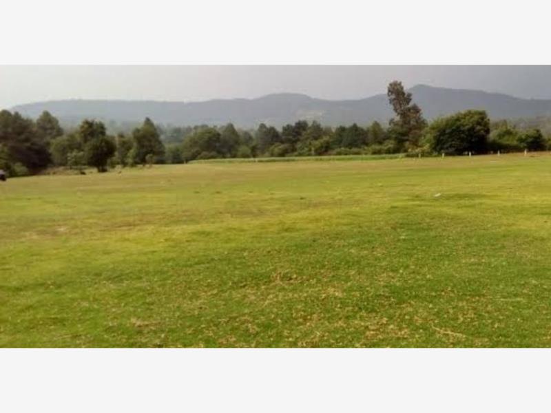 Terreno en venta en Tecoman Centro, Tecomán