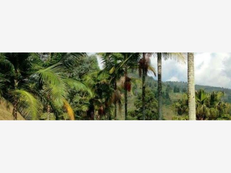 Terreno en venta en Tecuanillo, Tecomán