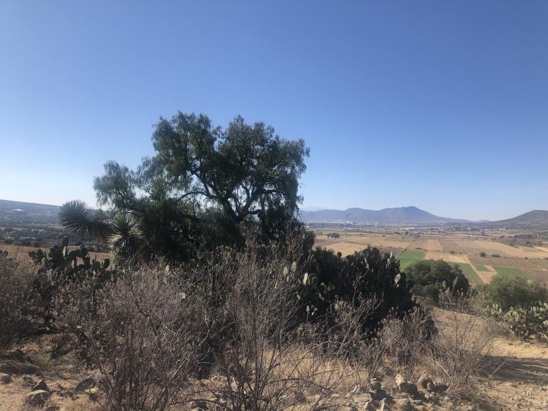 Vista 3 de Terreno en Venta en Sindicato Minero, Tepeapulco, Hidalgo