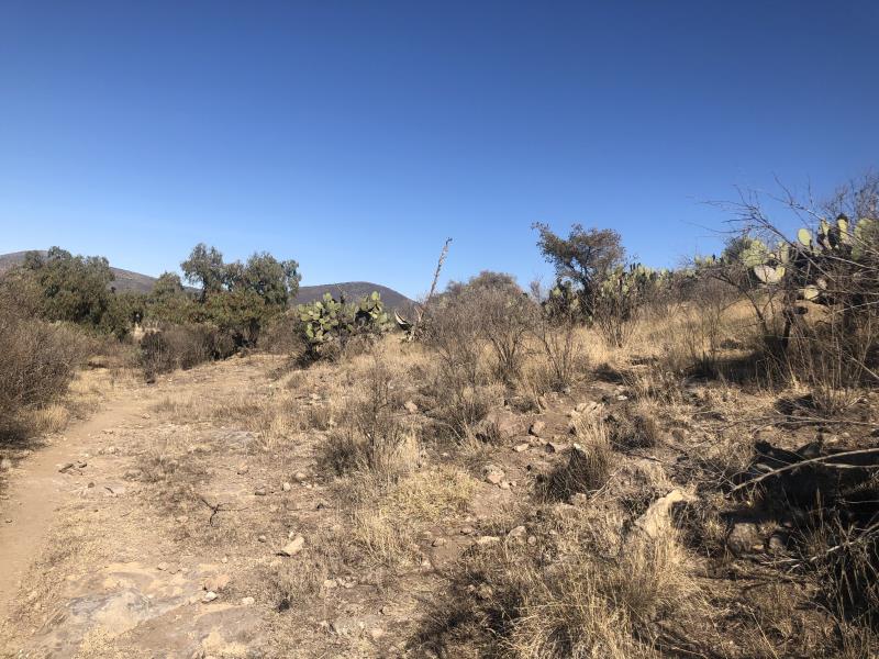 Vista 4 de Terreno en Venta en Sindicato Minero, Tepeapulco, Hidalgo